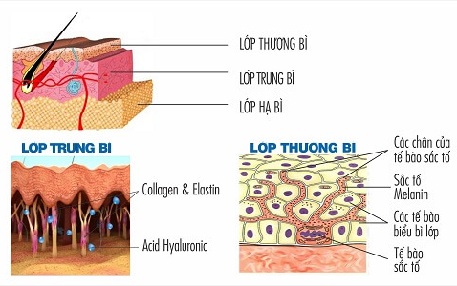 da đàn hồi tốt